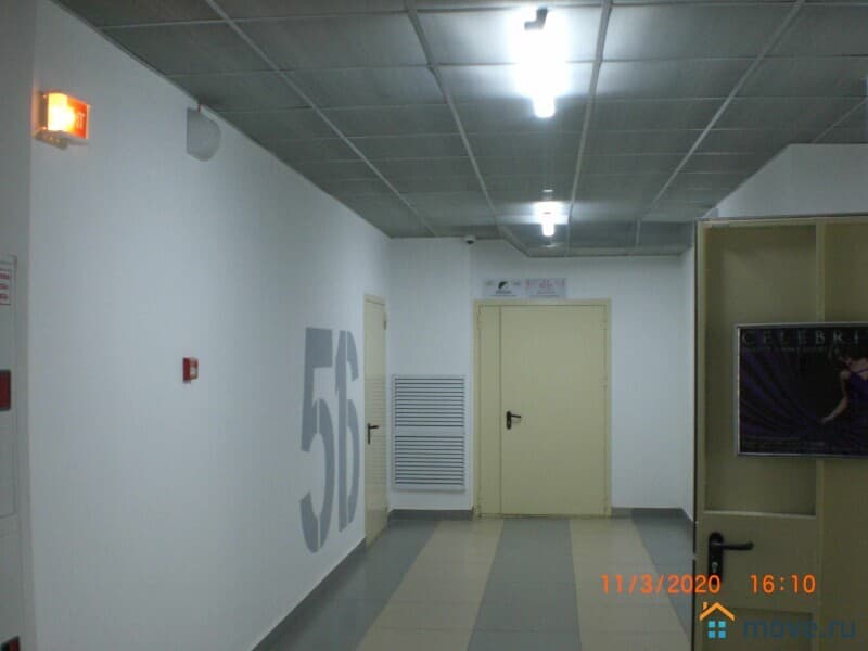 офис, 50 м²
