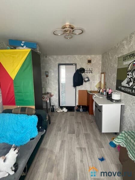комната, 13 м²