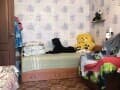 Продажа однокомнатной квартиры, 28 м², этаж 1 из 1. Фото 7