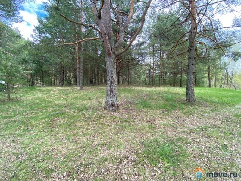 земля с/х назначения, 5.6 га