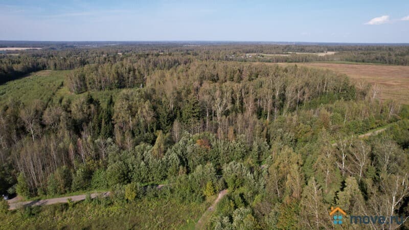 земля с/х назначения, 9.6 га