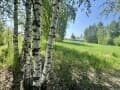 земельный участок, 12 соток