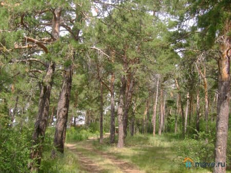 Сдаем посуточно таунхаус, 100 м², Чернолучье, Спортивная