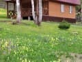 Объявление о сдаче коттеджа на сутки, 120 м². Фото 12