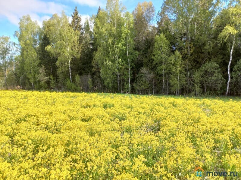 земельный участок, 6.2 сотки