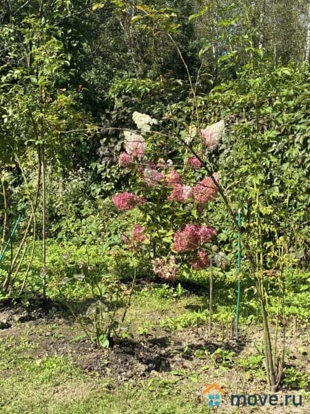 дача, 85 м&sup2;