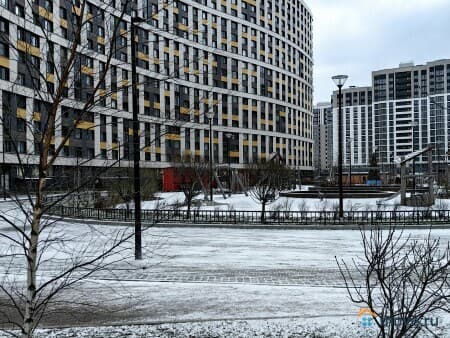 Аренда студии, 24.6 м&sup2;, Мурино, проспект Авиаторов Балтики, 25