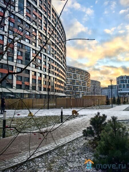 студия, 24.8 м&sup2;