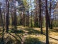Продаю землю под ИЖС, 0.8 га. Фото 10