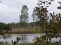 Продается земельный участок, 2 га. Фото 2