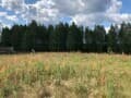 Продается земельный участок, 2 га. Фото 1