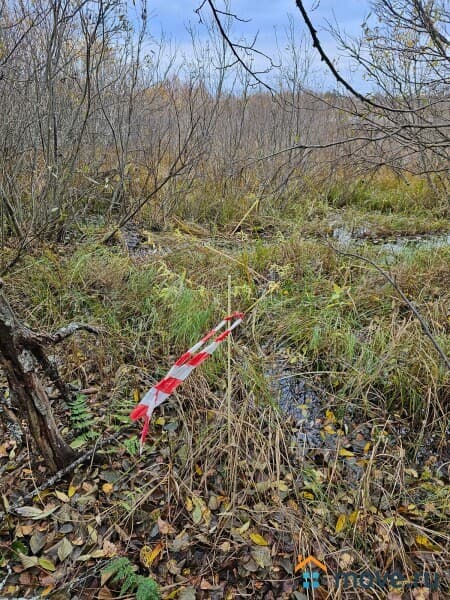 земля с/х назначения, 5.4 га
