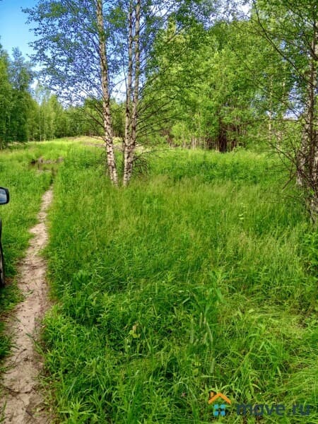 земля с/х назначения, 5.4 га