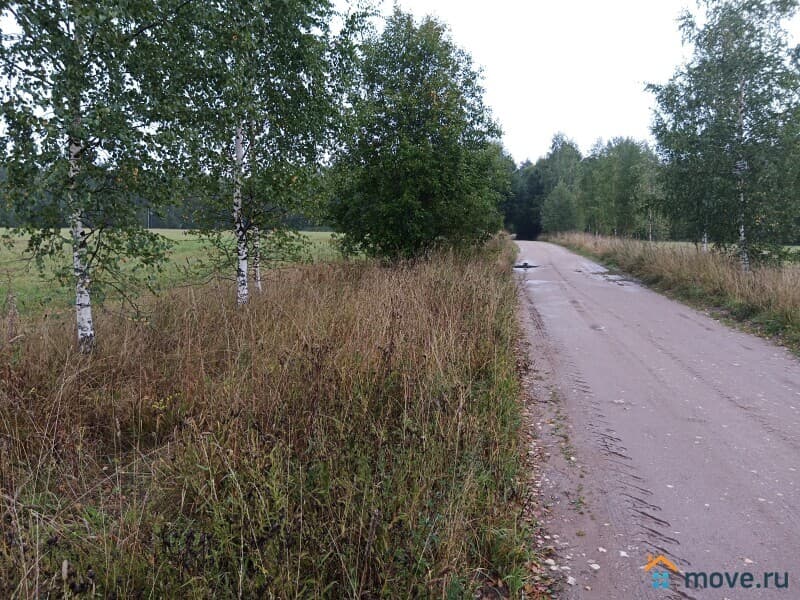 земля с/х назначения, 2 га