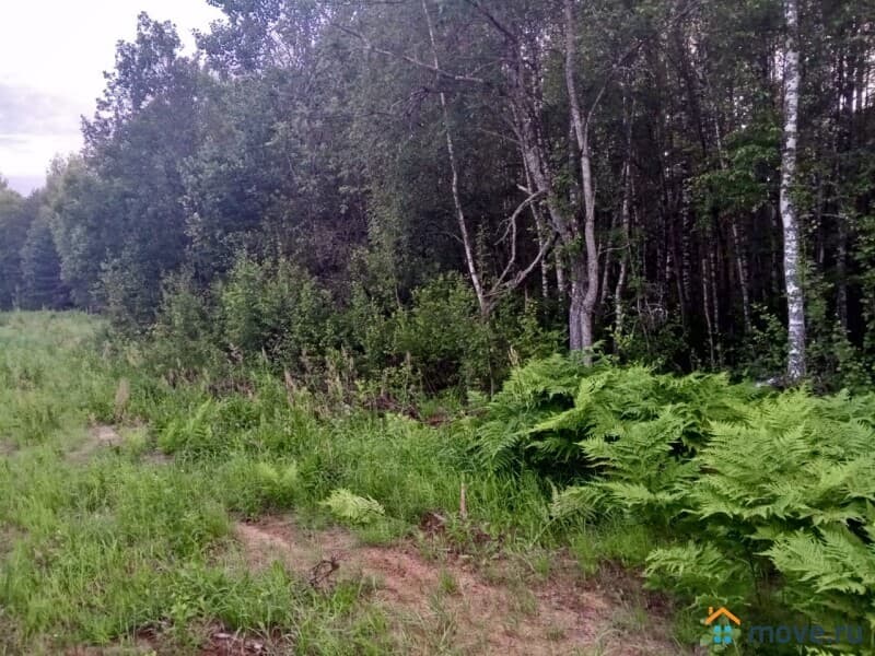 земля под ИЖС, 22 сотки