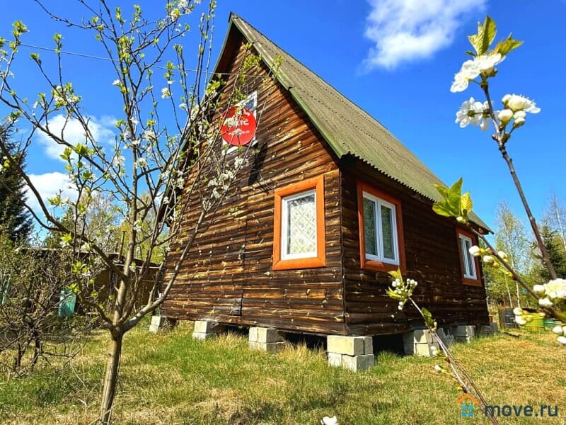 дача, 36 м²
