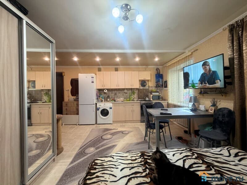 студия, 31 м&sup2;