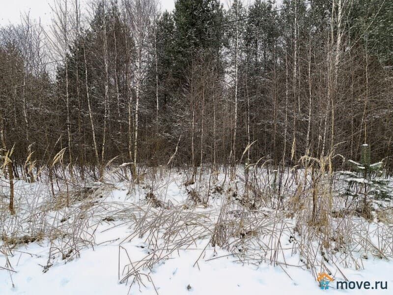 земля под ИЖС, 12 соток