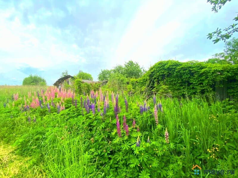 земельный участок, 30 соток