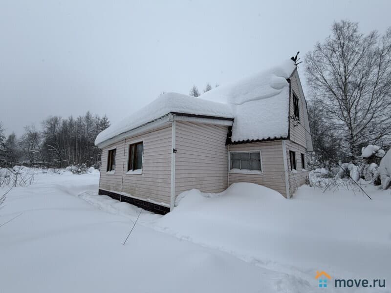 дача, 60 м&sup2;