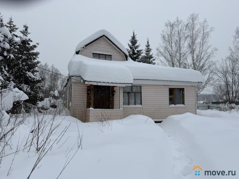 дача, 60 м&sup2;