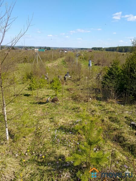 земля под ИЖС, 12 соток