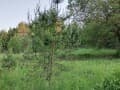 Объявление о продаже земельного участка, 20 соток. Фото 5