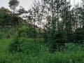 земельный участок, 20 соток