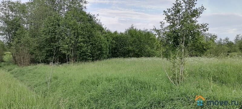 земля под ИЖС, 15 соток