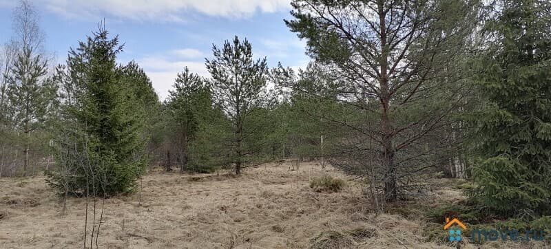 земля под ИЖС, 15 соток