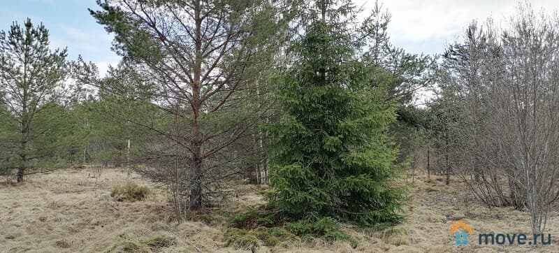 земля под ИЖС, 15 соток