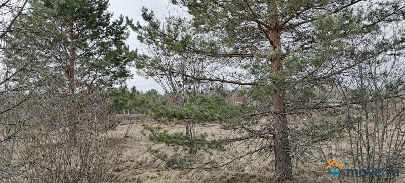 земля под ИЖС, 15 соток