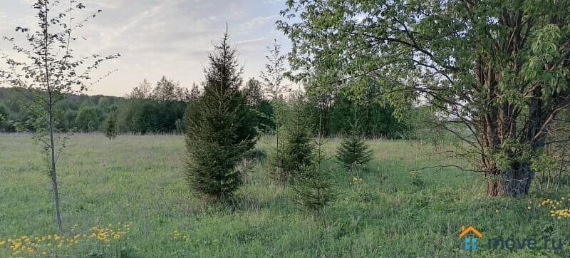 земля под ИЖС, 15 соток