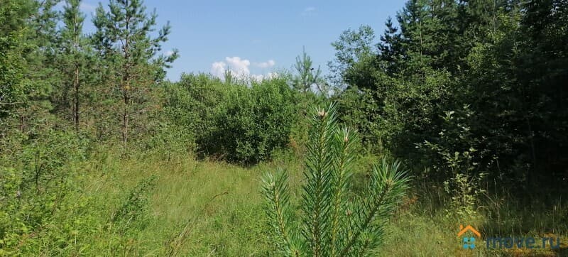 земля под ИЖС, 14 соток