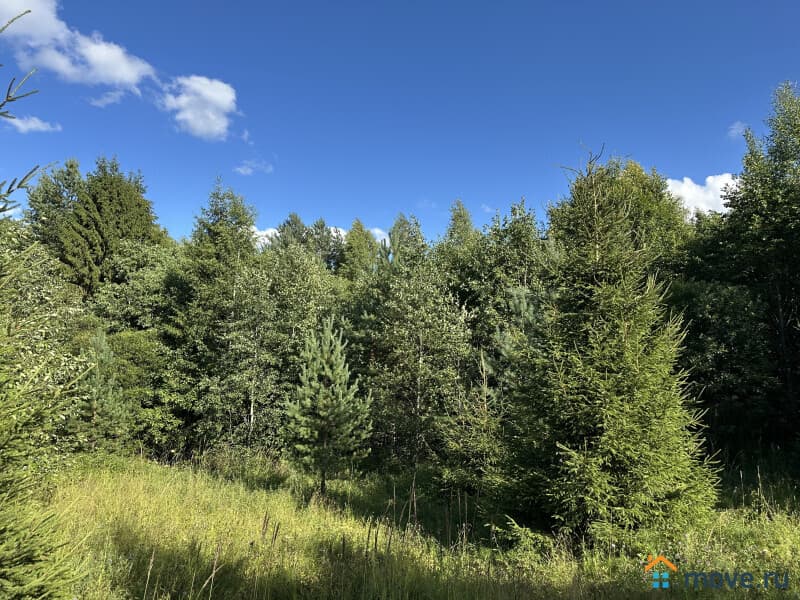 земля под ИЖС, 9 соток