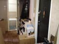 Продаем двухкомнатную квартиру, 51 м², этаж 1 из 10. Фото 14