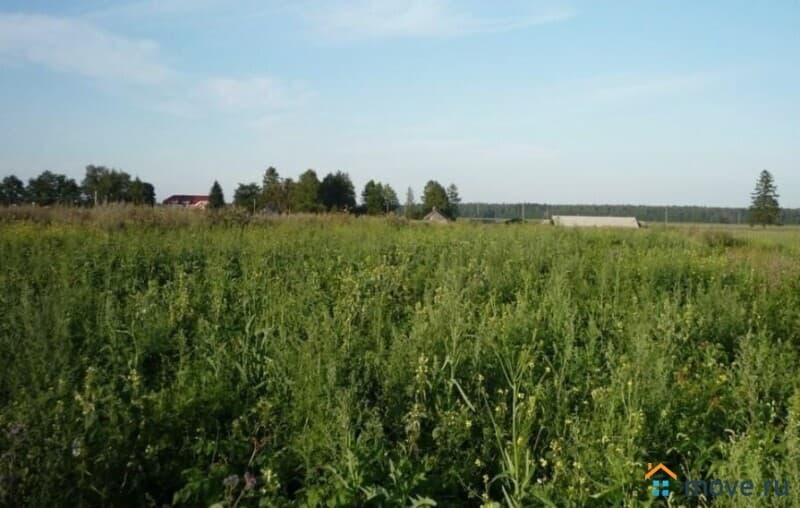 земля под ИЖС, 10 соток