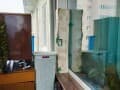 Продажа двухкомнатной квартиры, 44 м², этаж 5 из 5. Фото 7