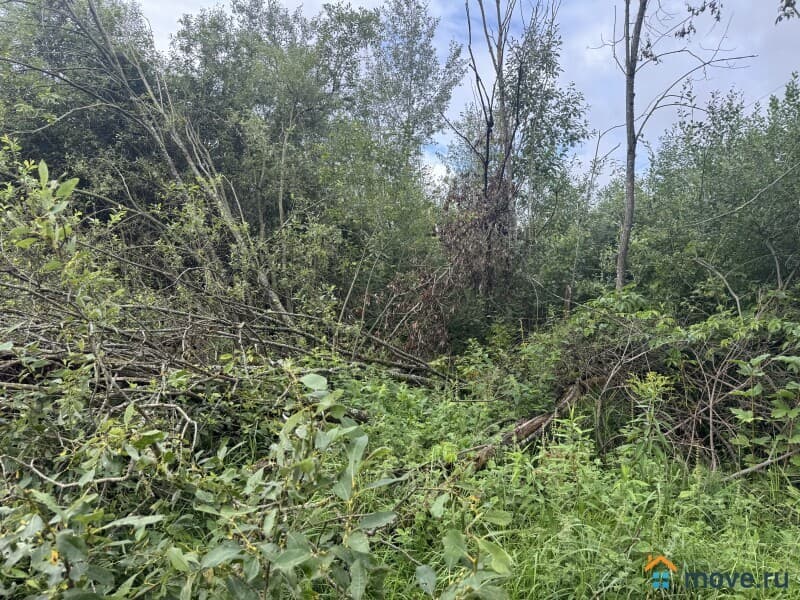 земля с/х назначения, 12 соток