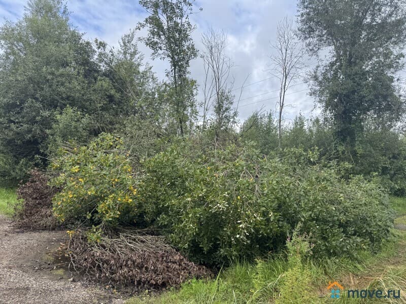 земля с/х назначения, 12 соток