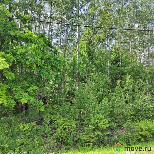 земля под ИЖС, 6 соток