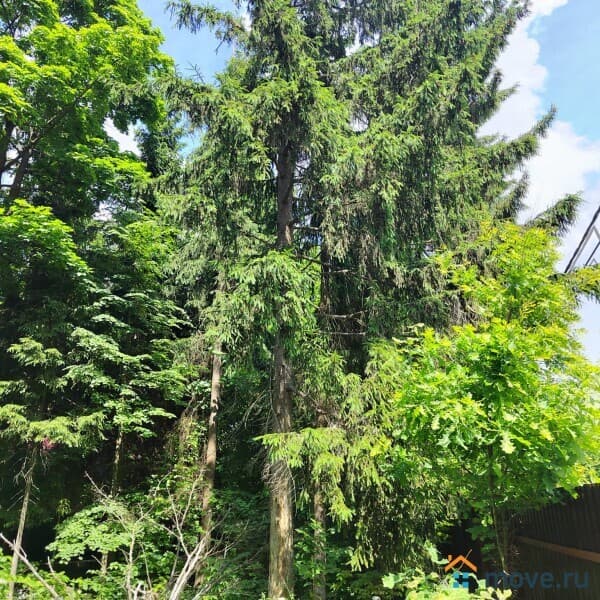 земля под ИЖС, 5.59 сотки