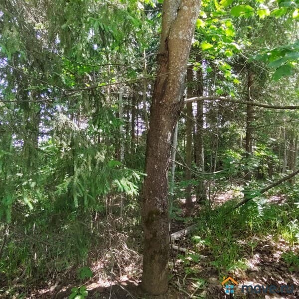 земля под ИЖС, 5.59 сотки