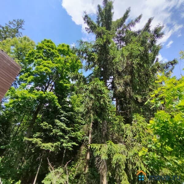 земля под ИЖС, 4.12 сотки