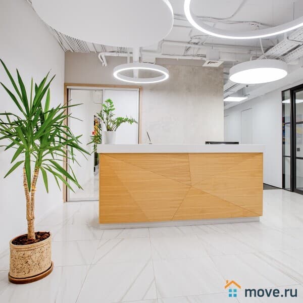 офис, 31 м&sup2;