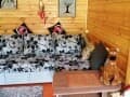 Объявление о сдаче дома на сутки, 55 м². Фото 7