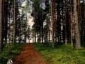 Объявление об аренде таунхауса на сутки, 40 м². Фото 10
