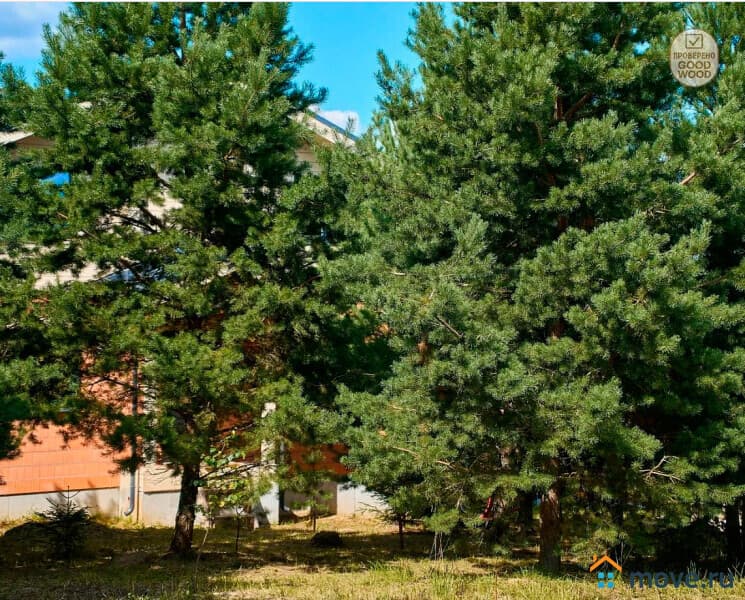 коттедж, 202 м²