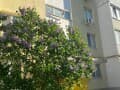 Купить однокомнатную квартиру, 37 м², этаж 4 из 6. Фото 23