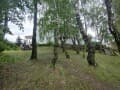 Снять виллу посуточно, 900 м², 20 мин. до метро на транспорте. Фото 17